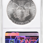 graded silver eagles