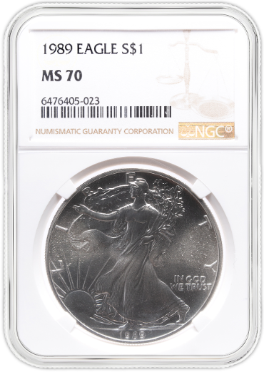 1989 Silver Eagle